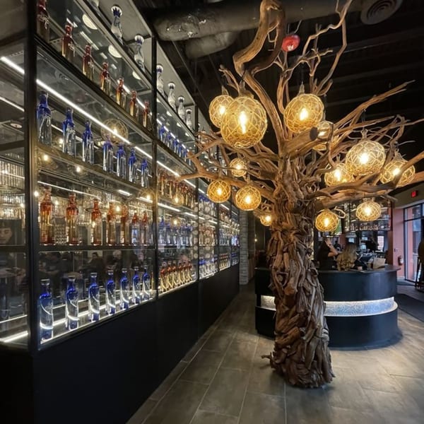 A modern Mexican restaurant interior with a large decorative tree light fixture and illuminated liquor displays.